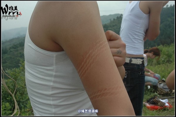 唯美之家 - 武当山之行-群绑 第 278 张图片