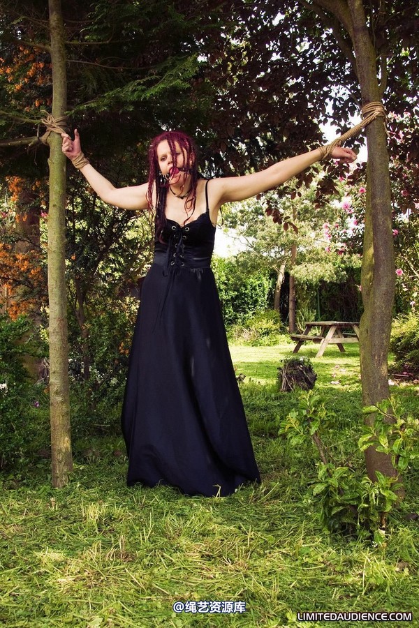 limitedaudience - 2010 beckykat between trees 第 11 张图片