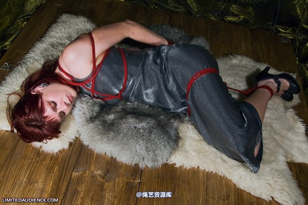 limitedaudience - 2010 scarlett hogtied on rugs 第 49 张图片