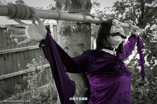 limitedaudience - 2011 carmina unwilling offering 2 第 19 张图片