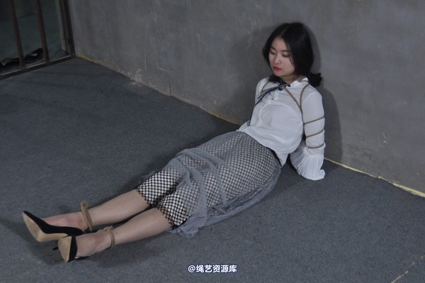 mj影视 - 淑女被抓 第 378 张图片