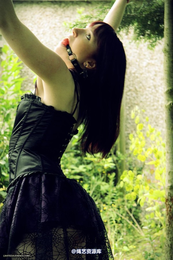 limitedaudience - 2013 syrah lee helpless outdoors 2 第 10 张图片
