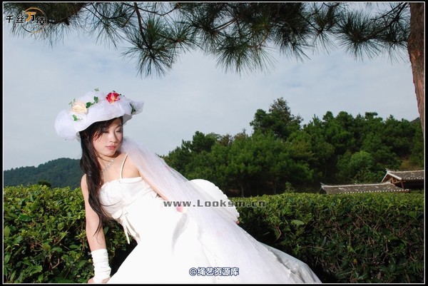 千丝万缕 - 2007-9-23-2日照片 第 1 张图片