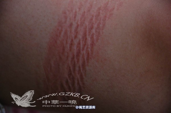 中华一晓 - 中华一晓 NO.0320 第 250 张图片