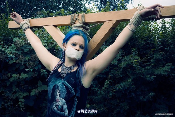 limitedaudience - 2014 beckykat crux suspension 2 第 1 张图片