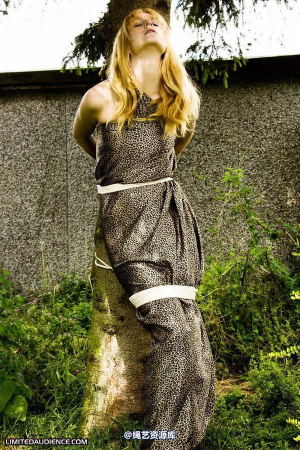 limitedaudience - 2011 ariel tied to a tree 2 第 2 张图片