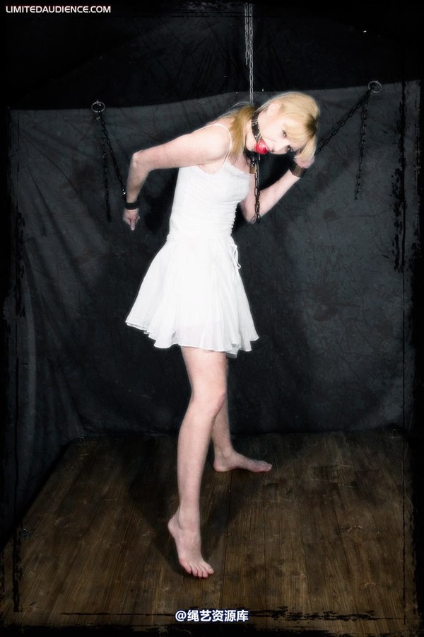 limitedaudience - 2010 ariel the forgotten prisoner 3 第 5 张图片