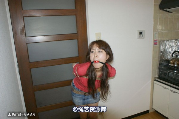 jpdamsel - 20090913 押し�zみ��盗 第 21 张图片