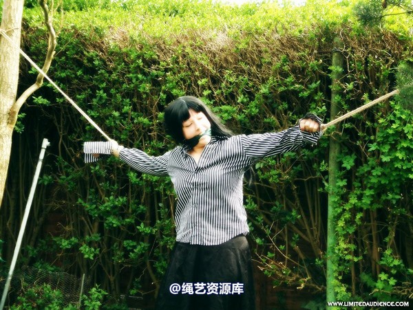 limitedaudience - 2007 nattsuko spread between trees 第 6 张图片