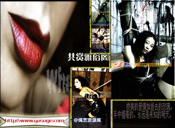雅俗阁 - 20070416雅思老虎凳 第 1 张图片