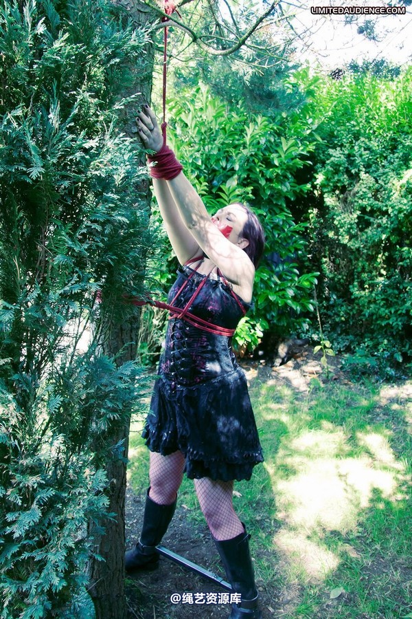 limitedaudience - 2011 carmina and the tree 3 第 32 张图片
