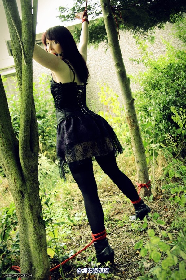 limitedaudience - 2013 syrah lee helpless outdoors 2 第 31 张图片