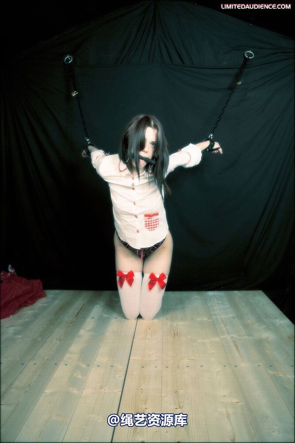 limitedaudience - 2008 blossom blois disciples of hoissy 2 第 5 张图片