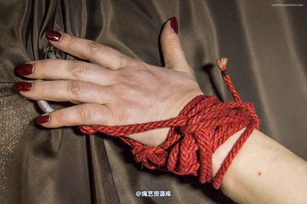 limitedaudience - 2014 ammalia up against the wall 第 3 张图片