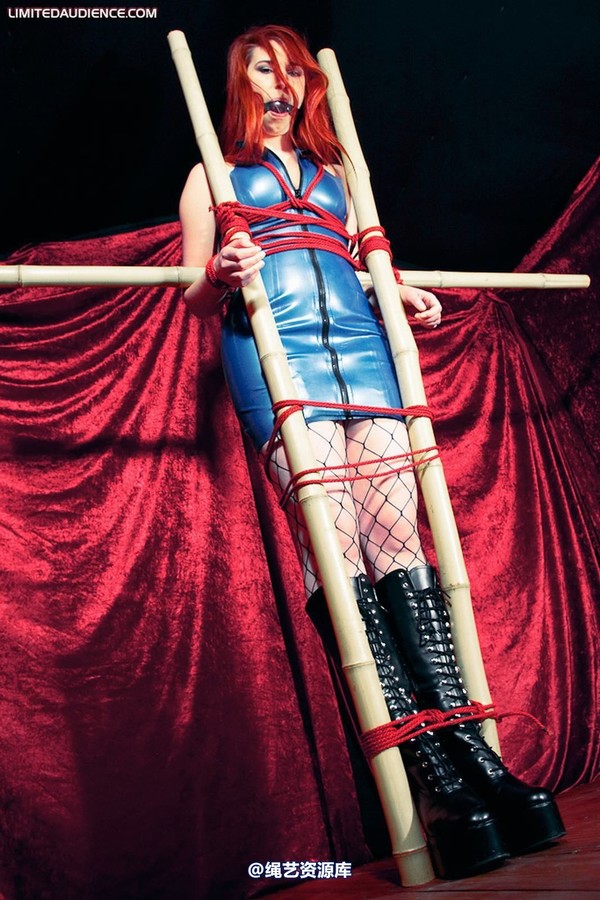 limitedaudience - 2009 ivory bamboo torment 第 12 张图片