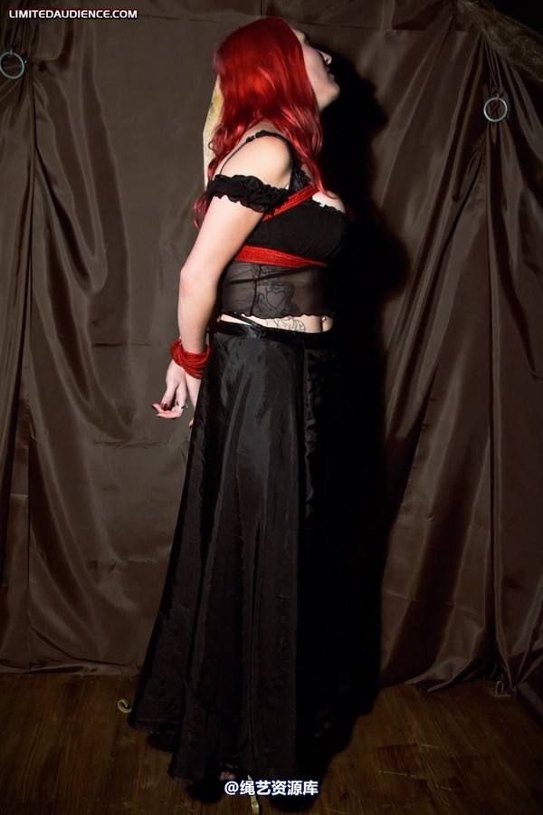 limitedaudience - 2011 elyssia bound to a pole 2 第 15 张图片