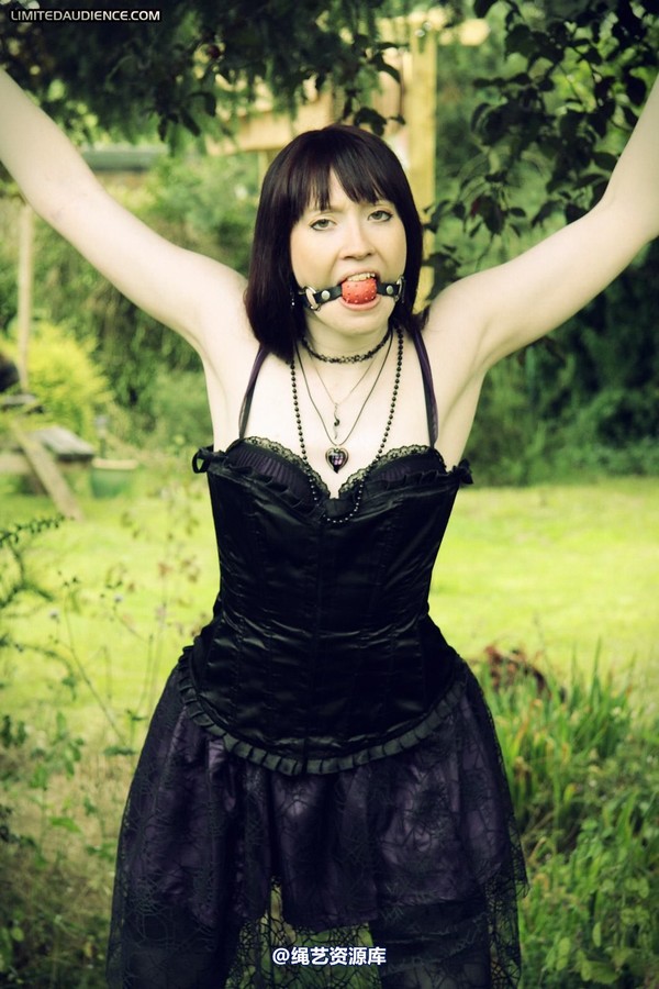 limitedaudience - 2011 syrah lee helpless outdoors 第 4 张图片