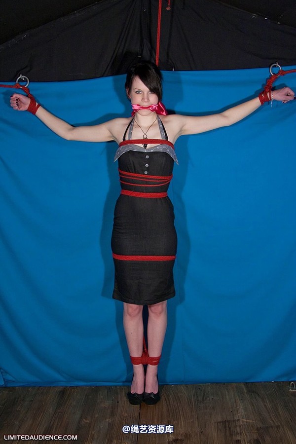 limitedaudience - 2010 luisa tied to the wall 第 1 张图片