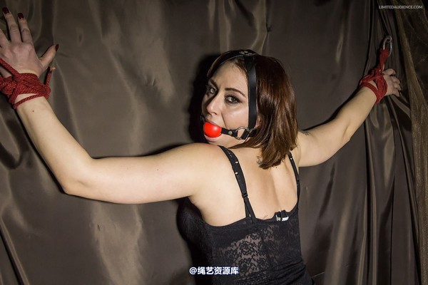 limitedaudience - 2014 ammalia up against the wall 2 第 20 张图片