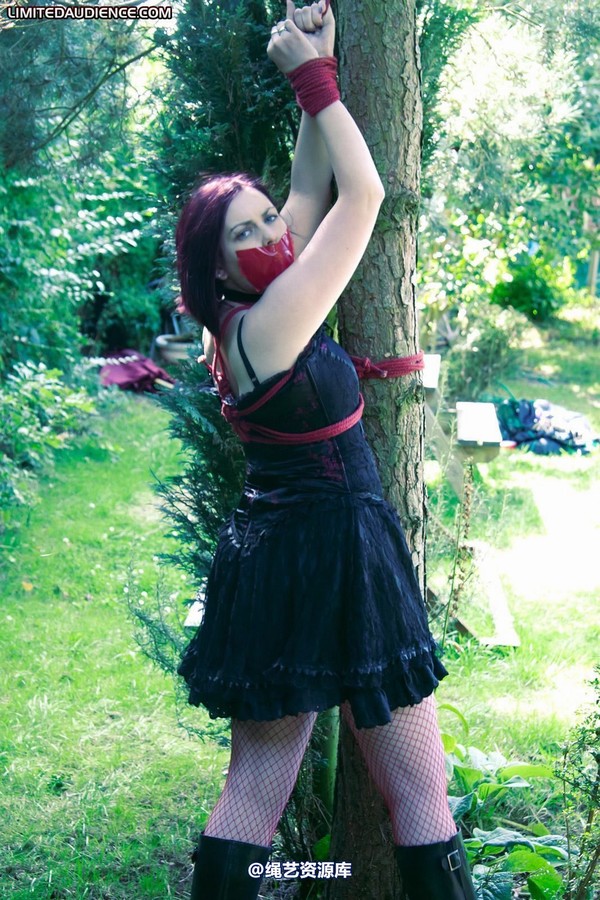 limitedaudience - 2011 carmina and the tree 2 第 4 张图片