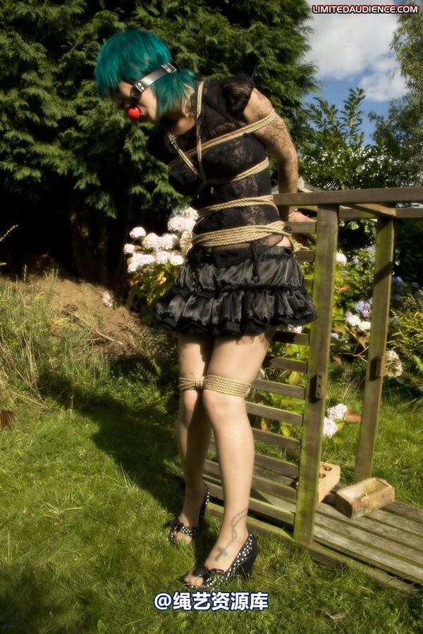limitedaudience - 2009 b captive pixie 第 10 张图片