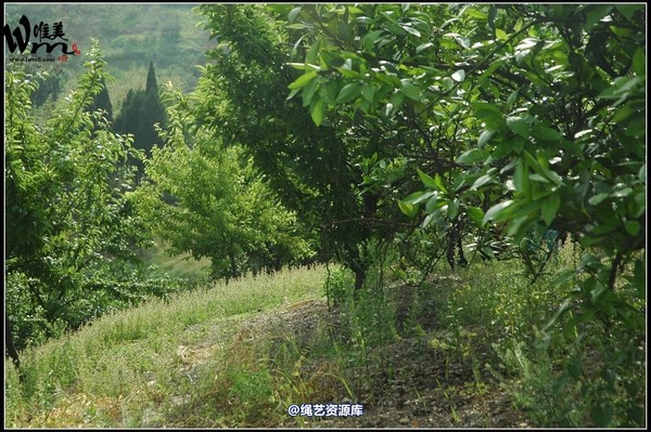 唯美之家 - 武当山之行-押解 第 139 张图片