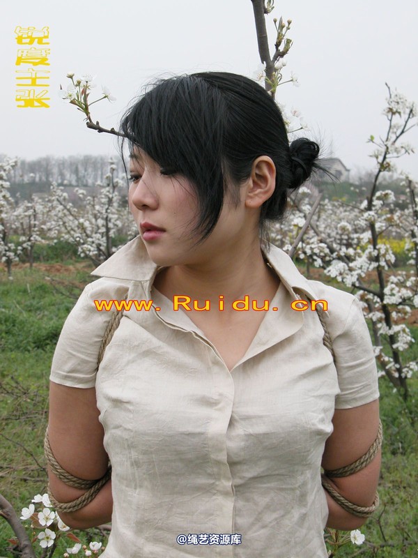 锐度主张 - 婷婷和寒冰梨花林中 第 35 张图片