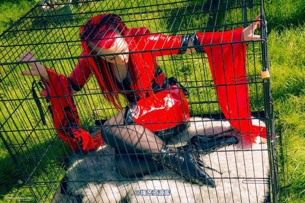 limitedaudience - 2015 raevan into the cage 第 26 张图片