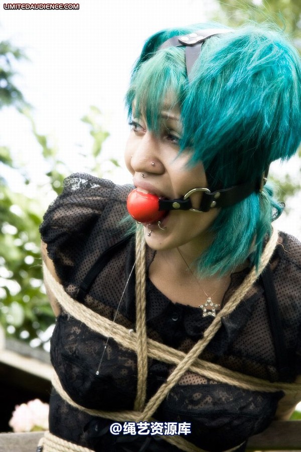 limitedaudience - 2009 b captive pixie 2 第 29 张图片