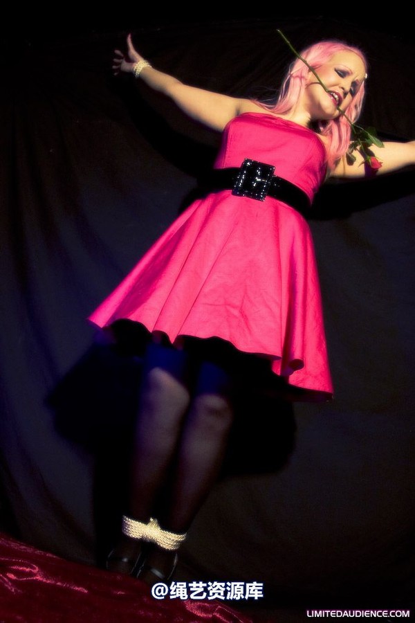 limitedaudience - 2009 assisted suicide a darling damsel 第 7 张图片