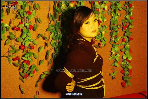 千丝万缕 - 2007-11-17日照片 第 19 张图片