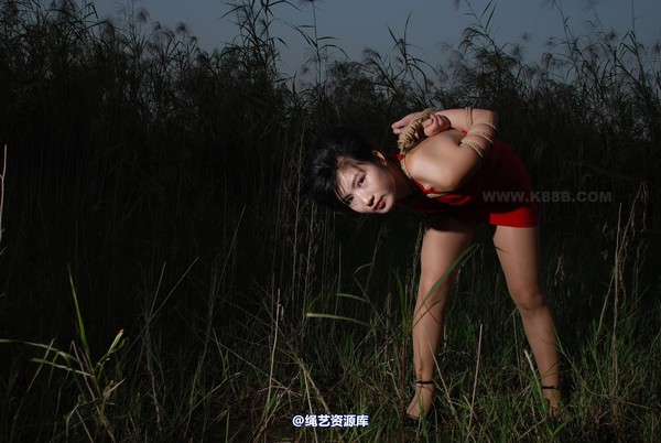 千丝万缕 - 20081014 第 30 张图片