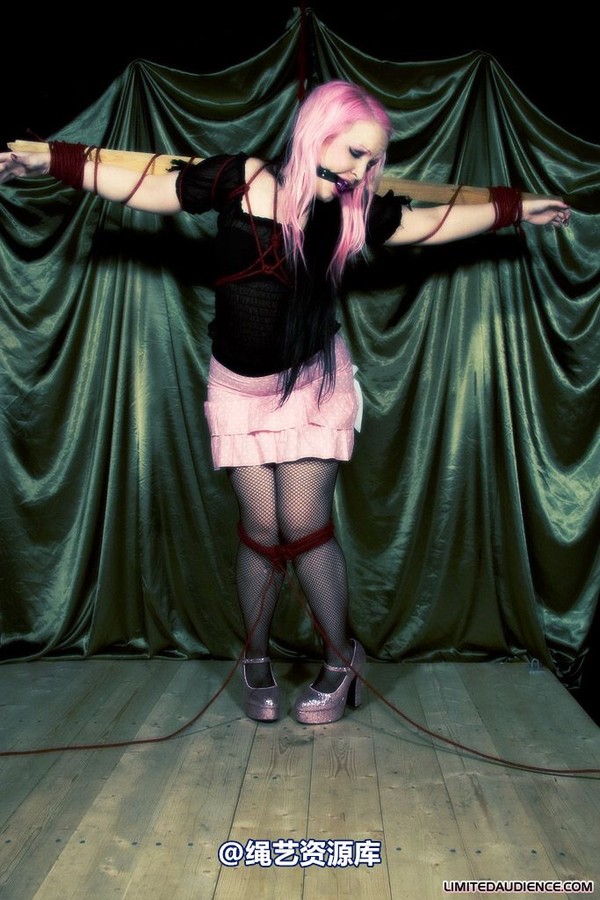 limitedaudience - 2009 assisted suicide profoundly entangled 2 第 33 张图片