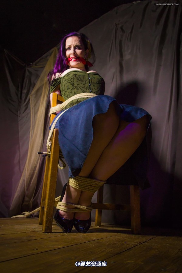 limitedaudience - 2014 caroline pierce captured damsel 第 20 张图片