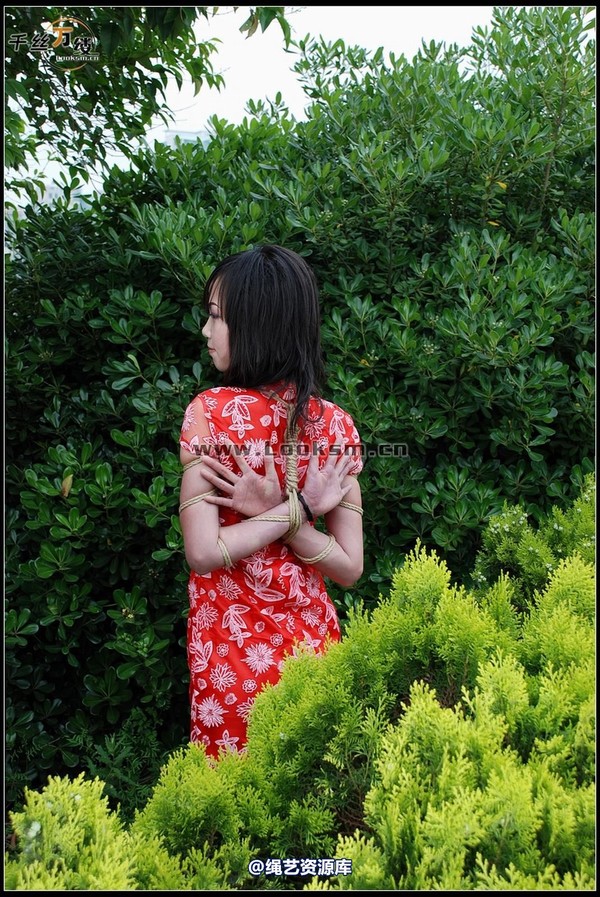 千丝万缕 - 2008-05-07日照片 第 181 张图片