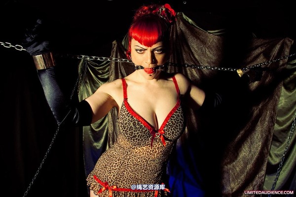 limitedaudience - 2010 raevan captured huntress 2 第 18 张图片