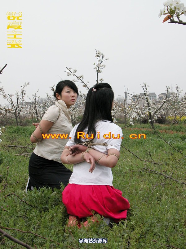 锐度主张 - 婷婷和寒冰梨花林中 第 55 张图片