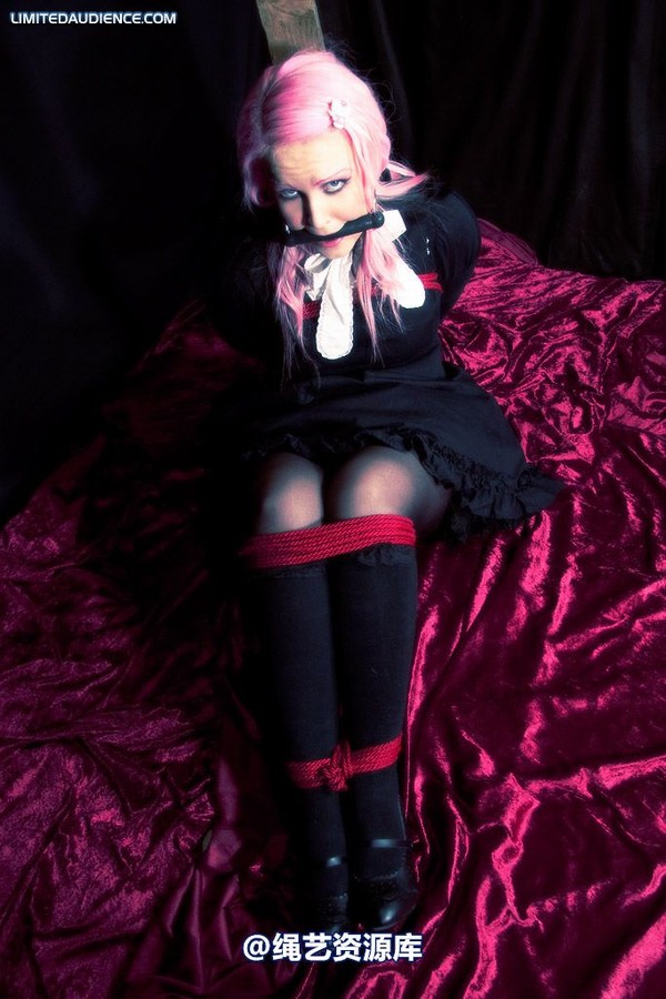 limitedaudience - 2009 assisted suicide taken 第 5 张图片