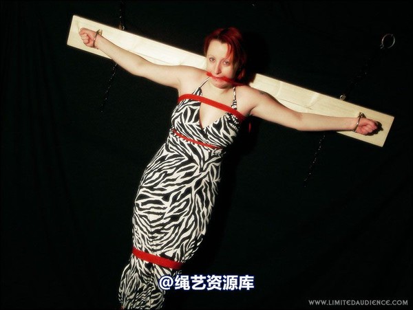 limitedaudience - 2007 erin chained animal 第 38 张图片