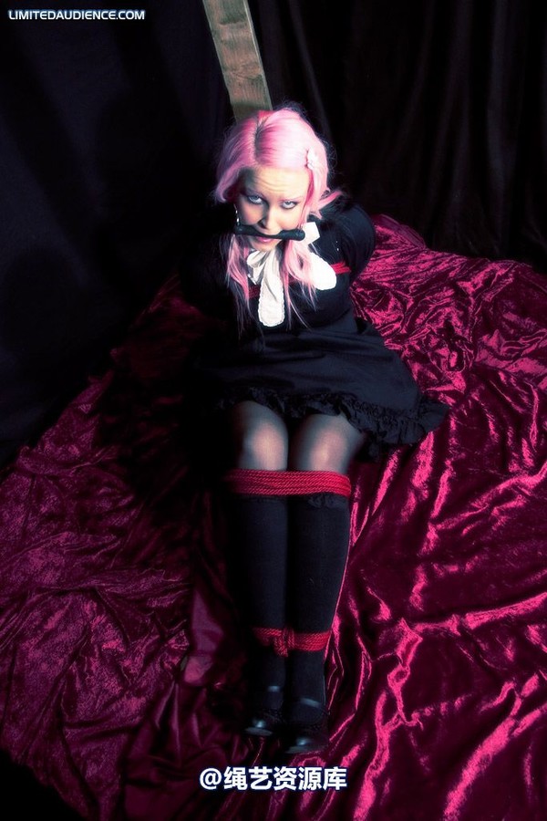 limitedaudience - 2009 assisted suicide taken 第 3 张图片