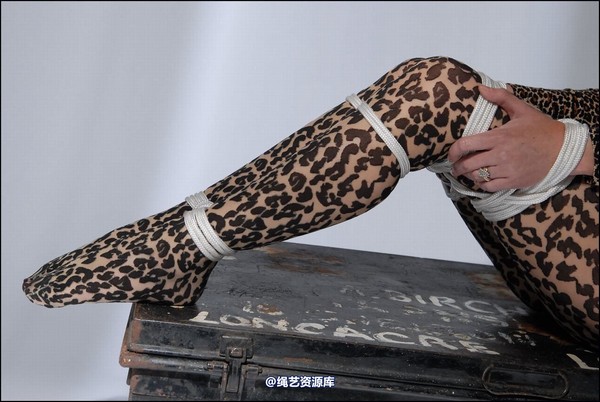 simplytied - Jinx in animal print 第 12 张图片