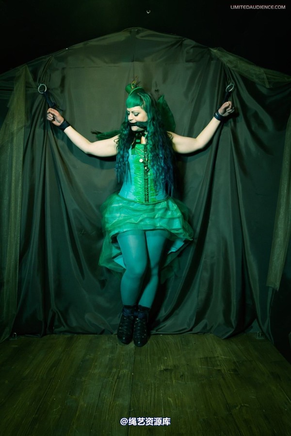 limitedaudience - 2012 raevan green fairy captured 2 第 25 张图片