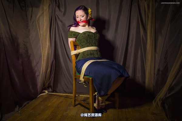 limitedaudience - 2014 caroline pierce captured damsel 2 第 3 张图片