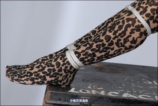 simplytied - Jinx in animal print 第 13 张图片