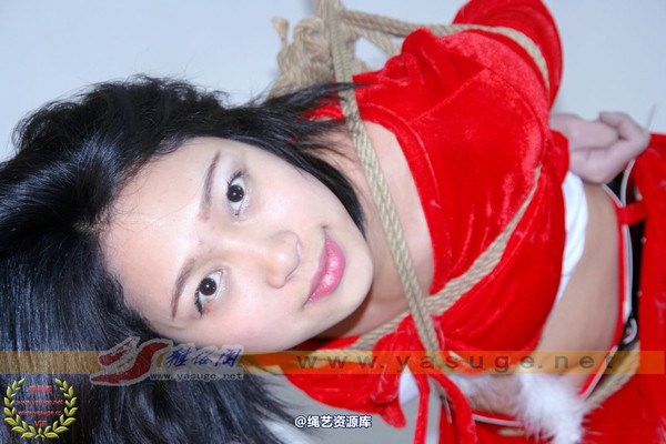 雅俗阁 - 2016-NO.1雅迅圣诞装吊�` 第 13 张图片