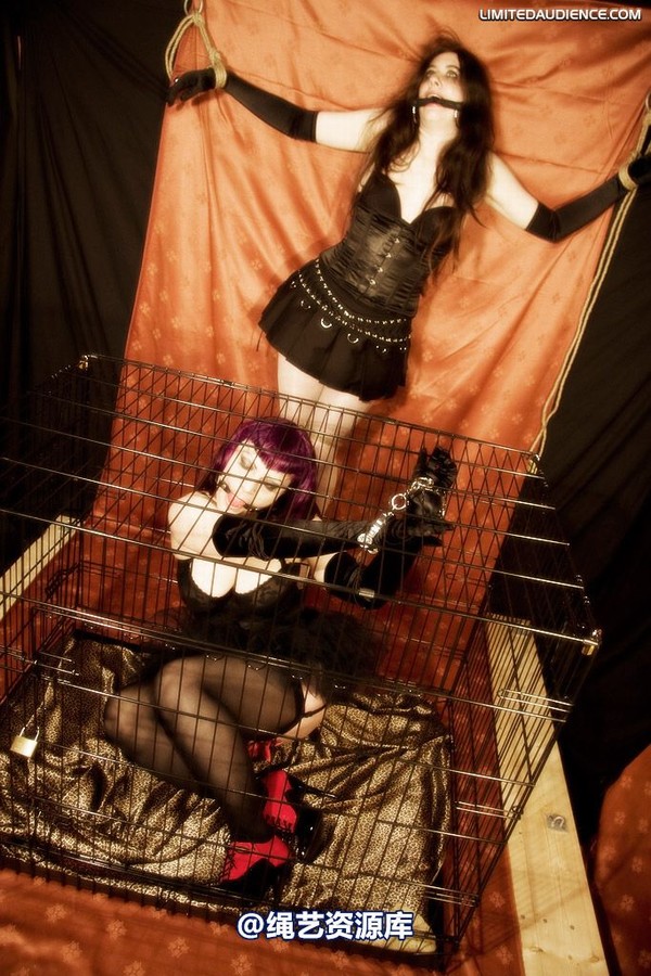 limitedaudience - 2009 catya raevan alptraum part iii 第 1 张图片