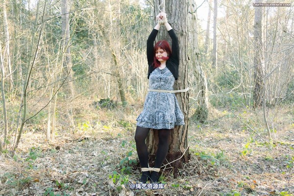 limitedaudience - 2012 scarlett far from help 第 3 张图片