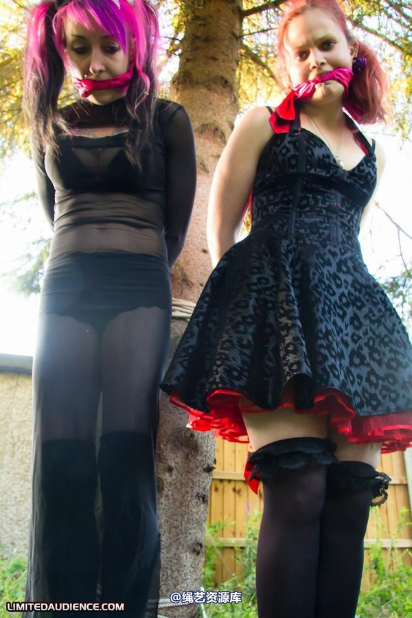 limitedaudience - 2011 beckykat loltaru moored to tree 2 第 10 张图片