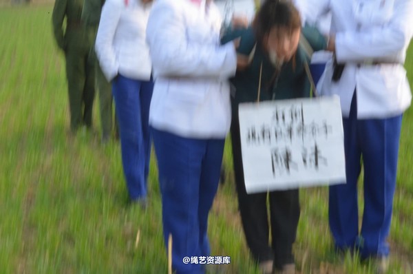 mj影视 - 一个记者的自白1 第 655 张图片