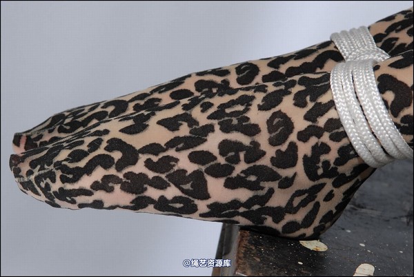 simplytied - Jinx in animal print 第 16 张图片